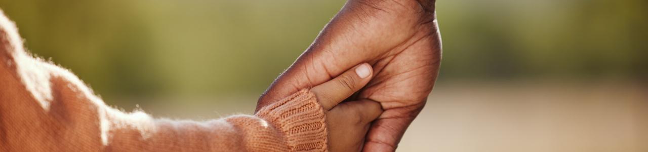 Family & Domestic Law