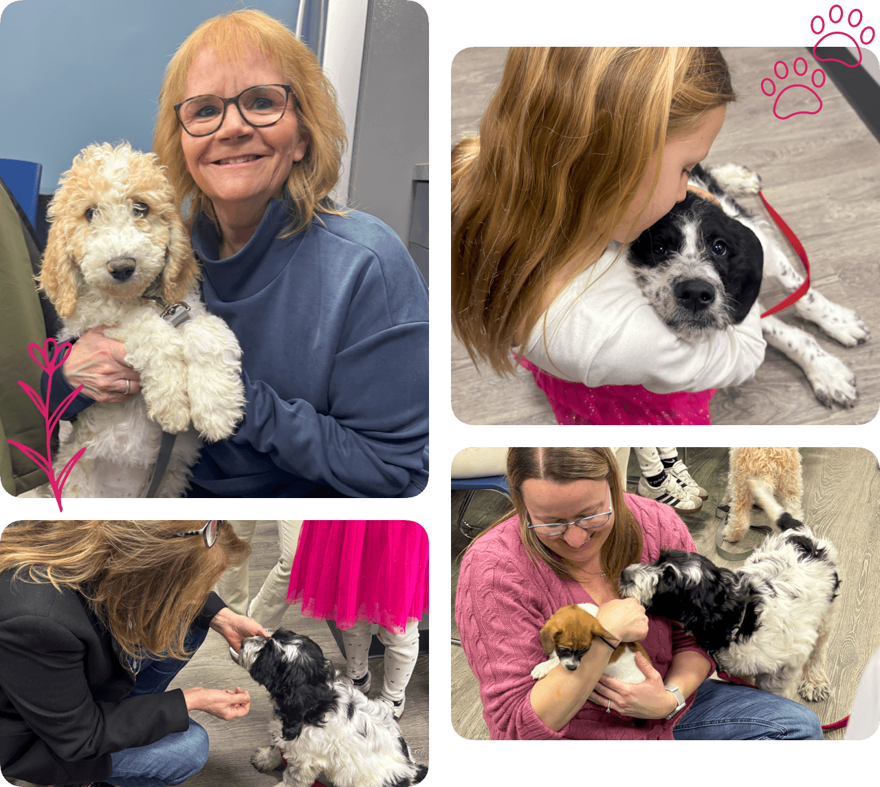 Collage #2 of Humane Fort Wayne for a Puppy Gram Visit at Burt Blee Collage #2 of Humane Fort Wayne for a Puppy Gram Visit at Burt Blee